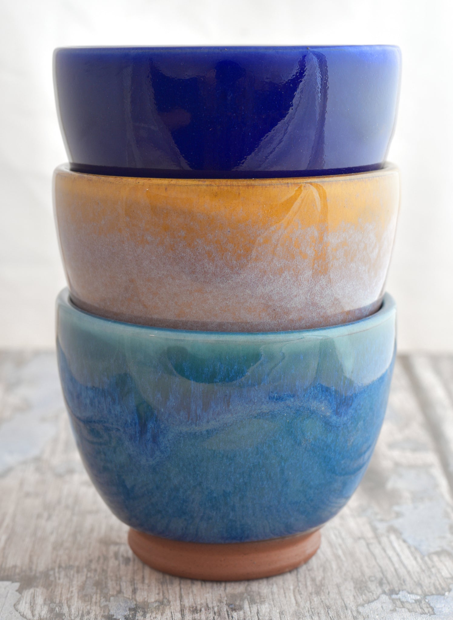 The Nibbles Bowl Set (set of 3) - Blue, Yellow, Purple