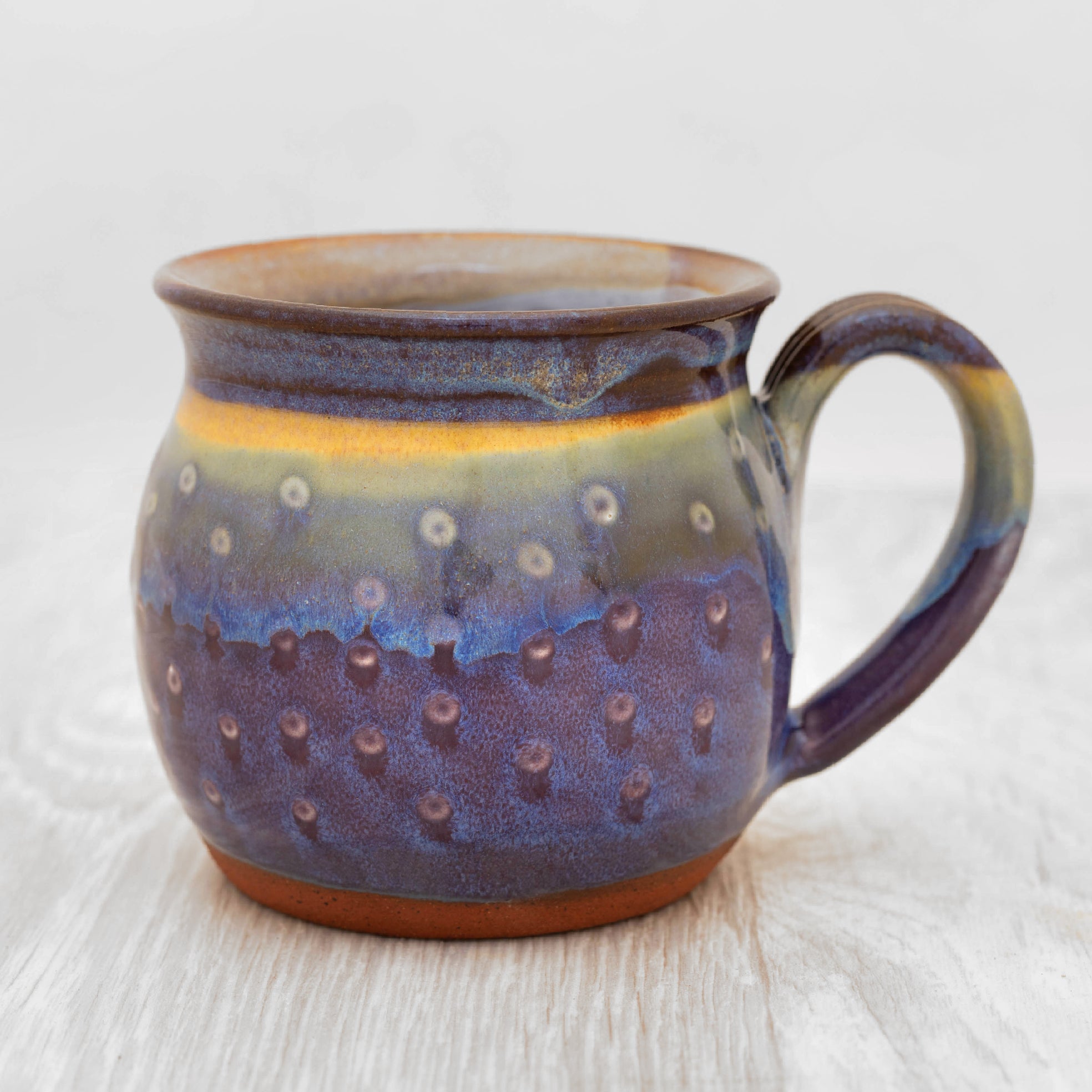 The Sea Urchin Mug